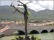 丽江东巴王国