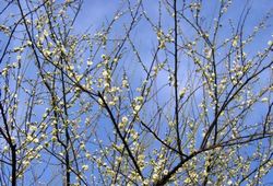 武汉磨山 武汉磨山