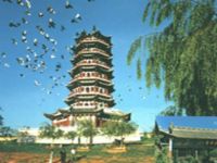 云南昙华寺 云南昙华寺